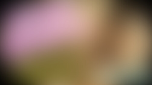 【泉かのん(19歳)1回目】○○○!メンズエステの手コキ
【注意】○○○のため予告なく削除される可能性があります。
すぐに【裏】本番プランに加入して見てください。
(【裏】本番プランでは30本以上の即ヌケる美女たちとの本番の○○○動画が見れます。あなたをすぐにムラムラさせる自信があります。後悔させませんのでこの機会にぜひご加入ください)
みなさまこんにちは、メンズエステに350万円以上使ってるPJでございますw
今回は新しい女の子を開拓して参りました。
『泉かのん』ちゃん、19歳です。
秋葉原にお店があるメイド系のメンズエステ店。
かのんちゃんのスベスベの指で鼠径部をマッサージされているうちに、すぐにビンビンになってしまいましたw
もちろん有料でいいから手コキしてほしいとおねがいすると「えーだめですよ!怒られちゃいます♥」と言われてしまたのですが。。。
「来週もまた指名するからお願い!」と言ったらOKしてくれました。
押しに弱いタイプですね、、、この子もwww
いざ手コキしてもらいはじめてびっくりしました!
めちゃくちゃエッチな手コキですw
両手で亀頭を包んでオイルですべらせながらコネコネされるのホントたまんないw
★本日の動画の流れ
お着替えシーンの前、シャワー中に抜き打ちで勝手に下着のチェックをしましたw
ちっぱいだけどすんごい良いにおい、、、
若いメスの匂いがプンプンしてます
かわいいメイドさん風のベビードールにお着替え
添い寝しながら、タマとサオを同時に包んでくれます最高
手のひらで亀頭をコネコネされながら、もう片方の手でしっかりシコシコしごいてくれますw
タマを小さな手のひらで包むのマジでいやらしい
途中、パンツをめくると恥ずかしがるかのんちゃんw
おちんちんに逃げ場を与えない、両手で真空状態を作るどちゃくそエロい手コキ
2台目のカメラからもヌルヌルになったおちんちんの見事な扱いを見れます
うしろからもスカートをめくってパンツを堪能したら怒られましたw
パンツを見ながらの手コキで精子が一気に上がってきましたw
最後はたっぷり射精し、「いっぱい出ましたね♥」と言われ追いボッキw
また指名する予定です。
今回も定点カメラ×2台で!
目線のモザイクもありません。
PJ (2/2)