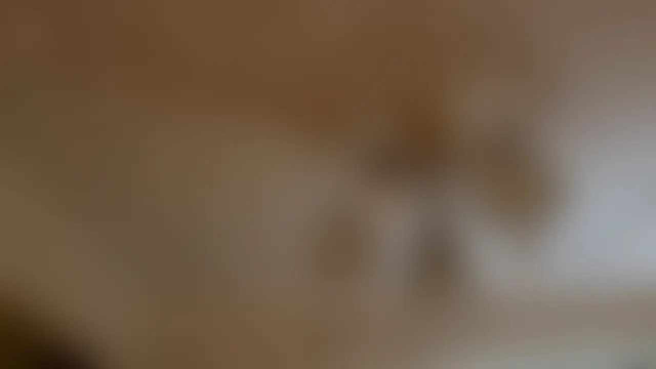 ドSタチさんとメス犬プレイ sample 1