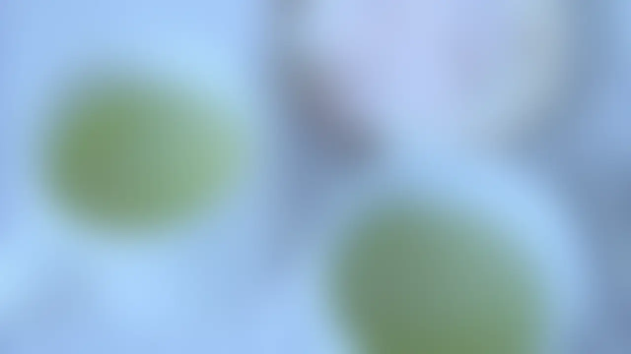 ライトプラン以上向けの動画になります。 (2/2)
