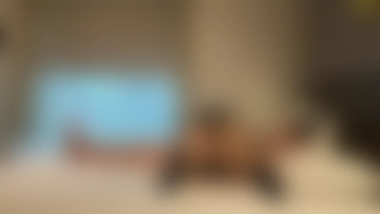 ☆ふうか1-2☆
どちらも一級品のふうかちゃん
それでいて綺麗:可愛い=200:800の美少女
低身長なのに美尻ランキング世界5位
えぐいっすお尻・・
僕は乳首舐めを命じて、いつものようにふうかちゃんの股間をまさぐっていきます。
すぐにレースのパンツ越しにわかるくらいに染み出てくるふうかのラブポタージュ
そのポタージュを指で絡めながらする、ディープキッス💛
経験したことがないようなオルガズムにふうかちゃんは、僕の生モッツァレラを挿入されることを拒めません。 (2/2)
