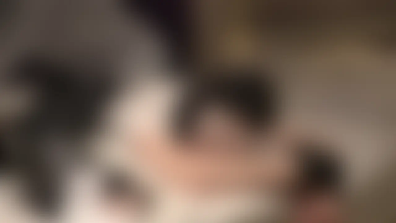 「こちょこちょきらいぃっ…♡」のみこちゃんのセリフ聞くだけでこの動画は心いっぱいになるくらいめちゃ可愛いです♡
うつ伏せで弱い部分をじーっくり責められて、シャツもたくしあげられて素肌を責められるともう我慢できなくて苦しそう…♪
はぁはぁ言ってるお顔もじーっくり堪能できるアングルもあるので、吐息を感じながら萌えましょう!
一緒に楽しんでねー! (2/2)