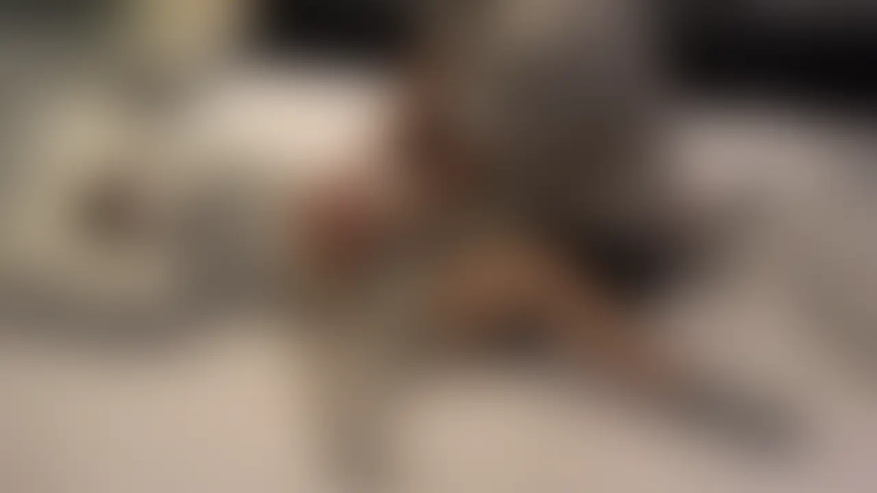 こんにちは!くすぐり動画専門のこちょぱです。
今回は名古屋からご依頼があった保育学生女子です。
J高生の時以来、久々のプレイだったということで溜まりに溜まったたくさんの欲を発散させてあげました(^^)
趣味は坂道系アイドルのファンだそうです。保育士の学校に通っているということで保育士になってしっかり○○○たちにくすぐりを伝授させて下さい笑
今回はアクロバットな体位もやってます!
激弱絶叫の素人女子の姿をぜひお楽しみ下さい、よろこちょ!
・ご本人さんの許可を得ています。ご本人さんから削除依頼が来た場合は削除します。
・全裸や本番行為はありません。下着姿までです。
・マスク着用の上、顔にはボカシを入れています。
※あくまでも素人女性をくすぐるフェチプレイ動画です。 (2/2)