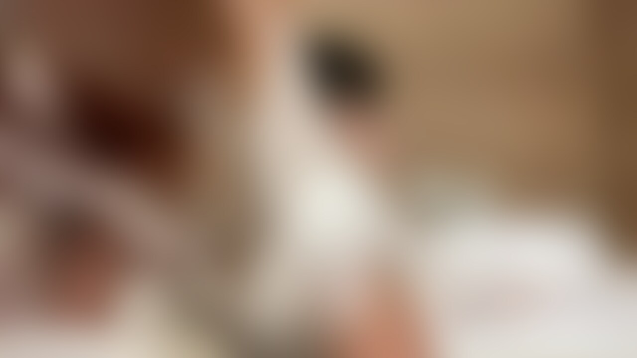 とらと泡風呂に入りました🛀✨️ sample 1