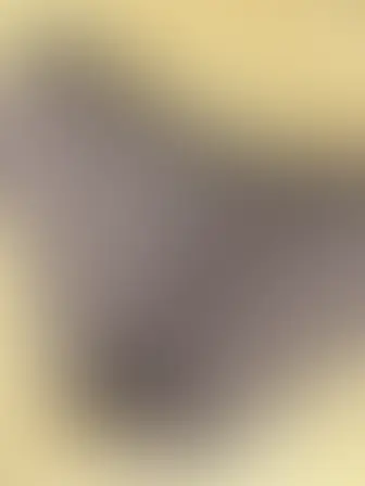 るる👙(🥼看護師目指す女子大生💉)「今日のルルの脱ぎたてパンツ🥰」の投稿サムネイル