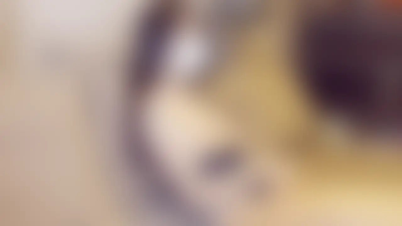[reira 妄想#036] 静かな部屋と、ほどけた姿勢。


reira／23歳。不動産の内見アシスタント。
一日の案内を終え、
帰宅してドアを閉めた瞬間、
身体の芯から力が抜けた。

靴を脱いで、
バッグを置いて、
そのままソファへ倒れ込む。

きちんと着替える余裕もなく、
ただ呼吸を整えるように、
しばらく天井を見つめている。

仕事中は姿勢を正し、
言葉を選び、
「安心できる担当者」でいようと気を張っていた。

部屋の中には、
それを見ている人はもういない。
時計の音と、
カーテンの揺れる気配だけが残る。

スマホは手の届くところにあるのに、
通知を確認する気になれない。
今日はもう、誰とも話さなくていいと決めたから。

少し休んだら起き上がるつもりだった。
けれど、
横になった身体は思ったより重く、
そのまま動けなくなる。

外では整えていた呼吸も、
今はゆっくりと戻っていく。
ようやく、自分の時間になる。

明日になれば、
また新しい部屋を案内して、
笑顔で扉を開ける。

だから今だけは、
誰にも見られない姿のまま、
静かに夜を過ごしている。 (2/2)