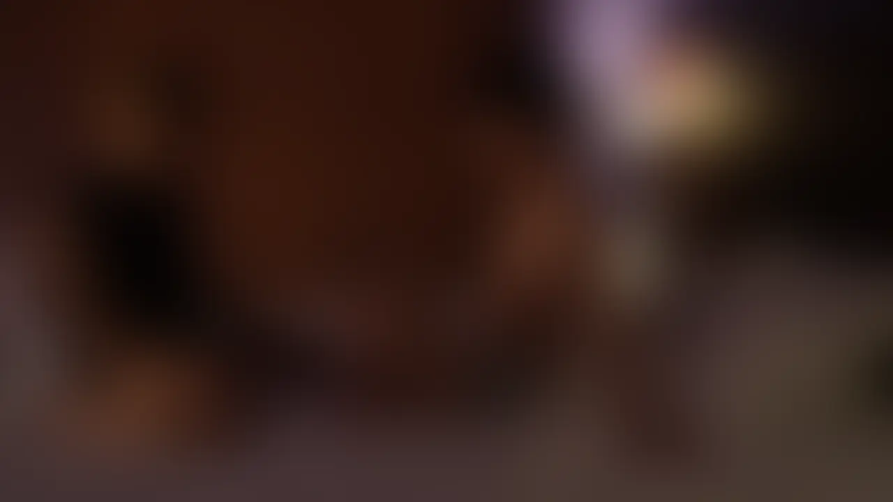 のあくんを（https://x.com/noa_1012_5 ） sample 1