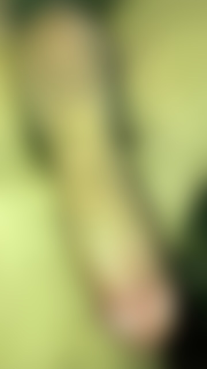 halu君とのハメ撮り載せます🍀*゜ sample 1