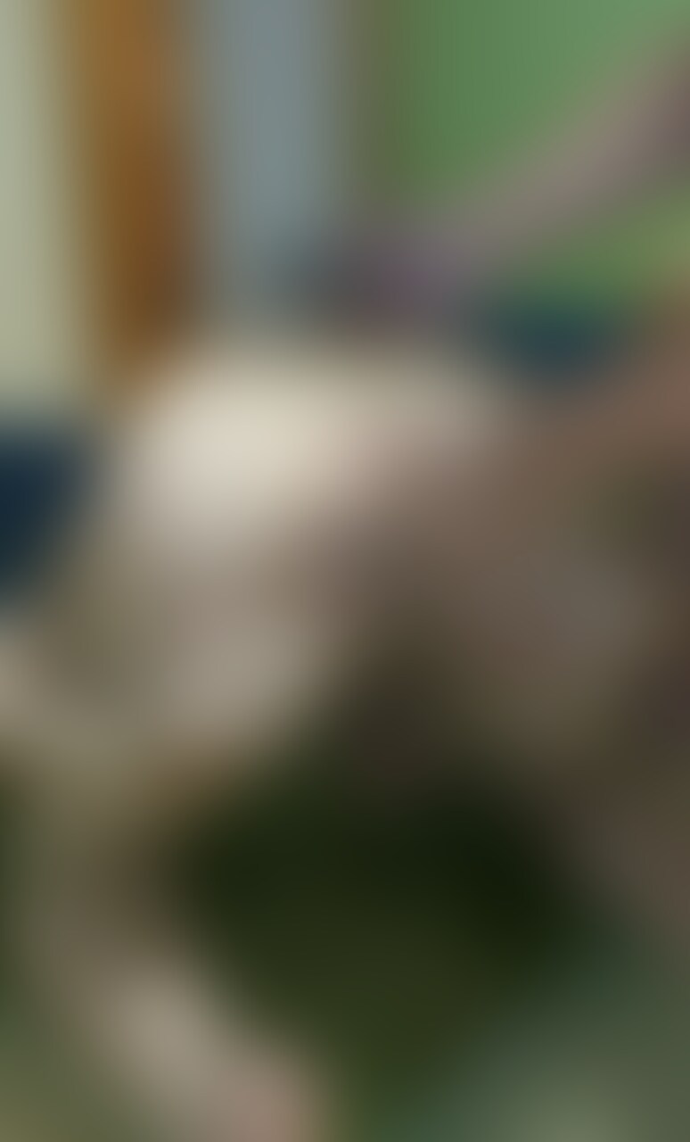 【単品購入希望】動画約7分 sample 1