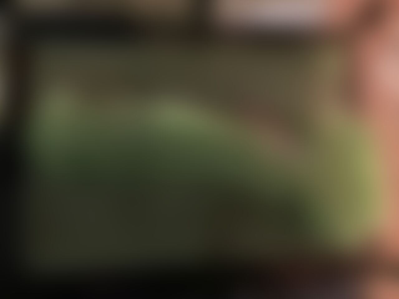 ちん拓コレクション sample 2
