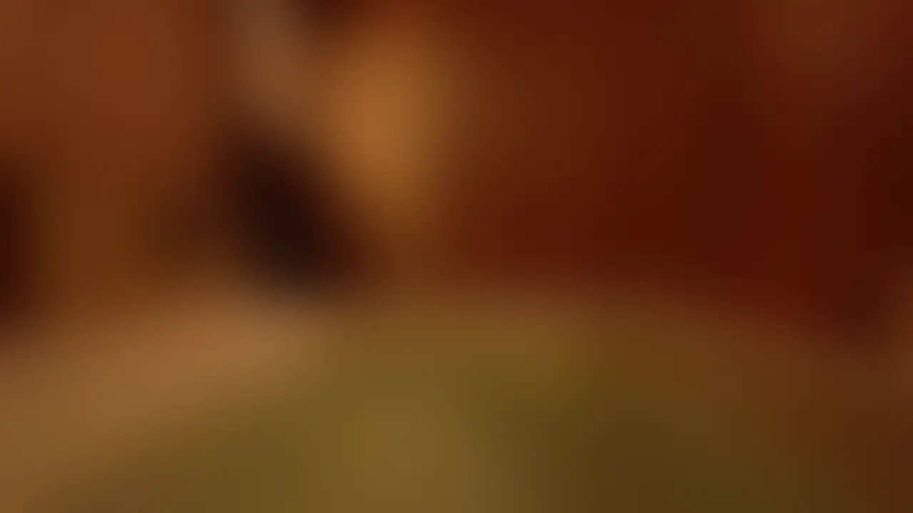 林陳光＃3 sample 1