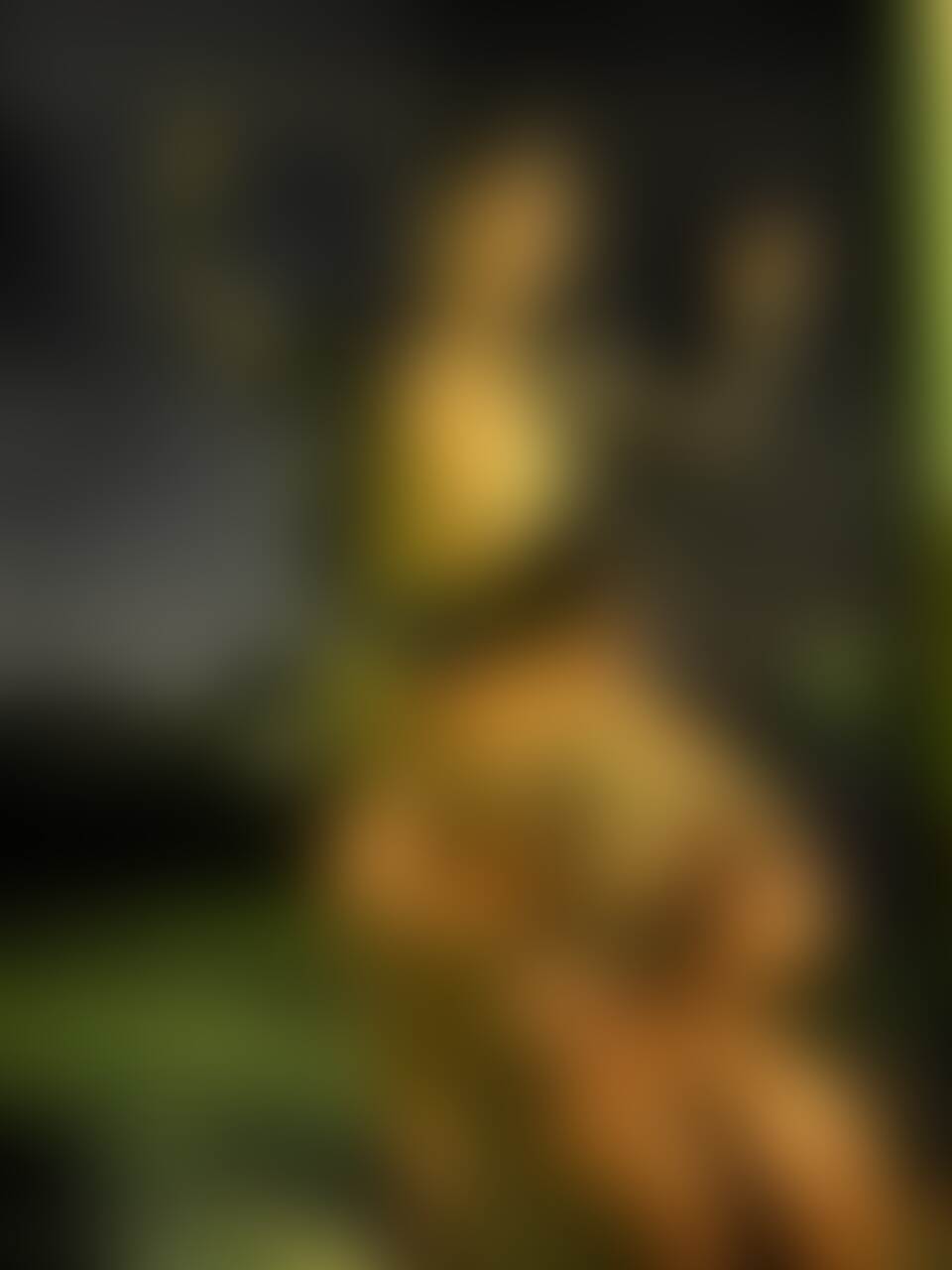 秋の夜長に露出狂と縄 sample 1
