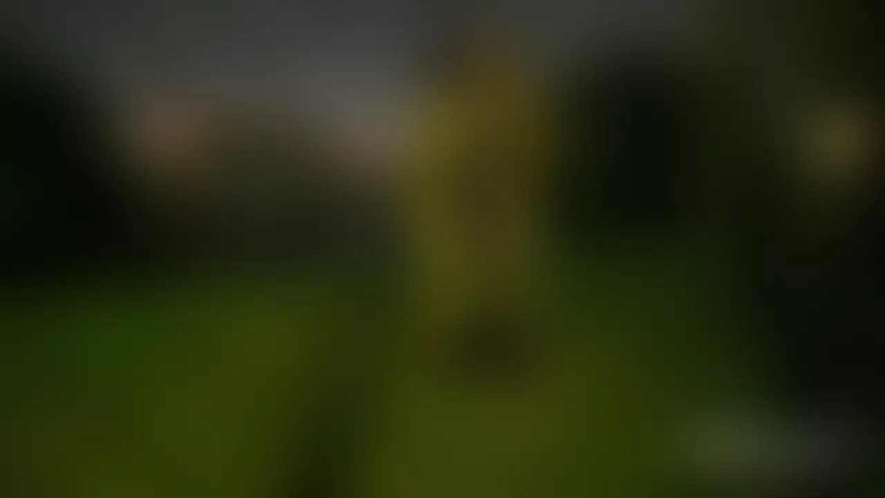 【野外で見せつけ全裸生掘り】 sample 1