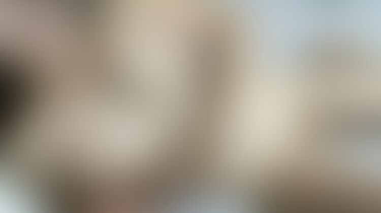 乳首責めし合ってイラマチオからのぶっかけられた精子塗りたくる変態若妻 (2/2)