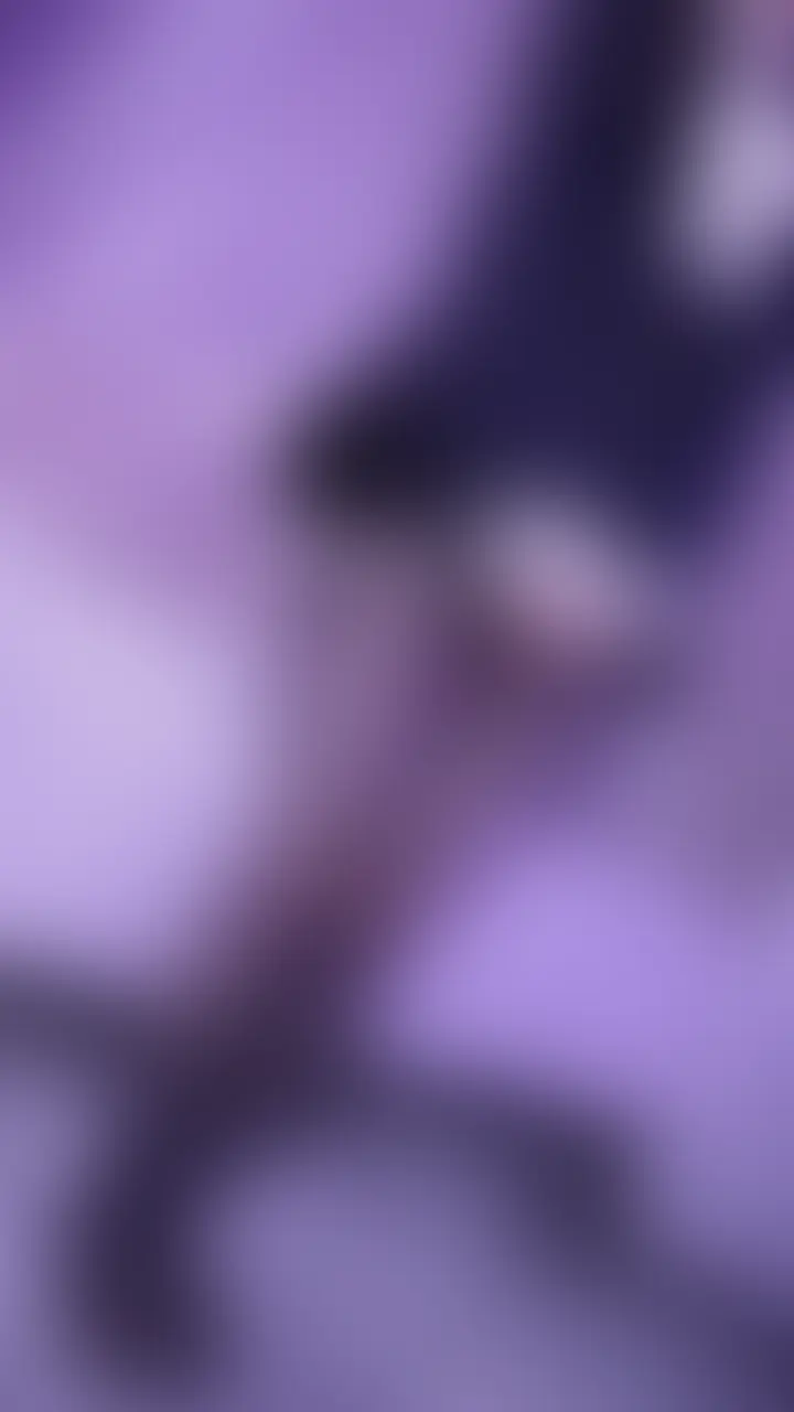 No.007スペシャルリクエスト♪XXXさんへ♡ミニスカノーパ○黒パンストで💕
お名前呼びながら黒パンストふとももにいっぱいすりすり気持ちよくなろうね♡"動く度に私もこすれちゃって、、いったらだめ。。♡って言うのじぶんにも効いちゃった☺️♡"
おたがいのぬるぬる敏感なとこうしろからいっぱいずぼずぼしてね💕
さいごは主観バックで♡"突き出しおしりにたくさんぴゅ〜っしてねっ🤍
気になる方もぜひ見てね☺️💕
ꕀ🎀 ͗ ͗
みなさん、いつもししゅうちゃんにえっちなリクエストをいっぱい送ってくれてありがとう…♡
とっても嬉しくて、毎回ドキドキしちゃいます♡
よくみなさんから「名前を呼びながら動画を撮ってほしい」というリクエストを頂くことがあります❣️
なので!このたび、新しく【スペシャルリクエスト動画】の単品販売を投稿していこうと思います♡
スペシャルリクエスト動画とは…
普通のリクエスト動画とはちょっと違う、“あなただけ”のために撮る特別なえっちな動画です♡
・あなたのお名前を呼びながら、えっちなこともしちゃいます♡
・他の人には絶対見せられない、ちょっとマニアックな内容もできちゃうかも…♡(できる範囲でね♡)
もちろん、これまで通りメッセージでのリクエストも募集してます♪
スペシャルリクエスト動画は、単品販売で【5000円】で購入できるようにします♡
ししゅうちゃんともっと二人だけのえっちな時間を楽しみたい方は、ぜひマイファンズのメッセージから【スペシャルリクエスト希望】と送ってね♡ (2/2)