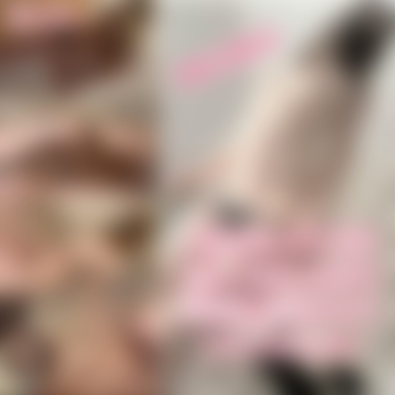 こんばんは♡
GWは楽しく過ごせましたか？😆
私はキャンプに行きましたが、彼の友人達もいて
セックスも出来なかったので楽しくなかったです笑
私誕生日だったのにキャンプでお祝いもされなかった😭笑
さて、今回はGWも終わりお家についたら私達お風呂も入らず
すぐセックスしちゃいました❤️
前戯の時カメラアングルをお尻をメインに撮ってみましたが
個人的に結構良かったです🥰
アップでおまんこ広げられたり乳首吸われちゃったりで
めちゃめちゃ恥ずかしかった(/// ^///)
GW更新してなかったので
今日からまたフェラや手コキも撮ります❤️ (2/2)