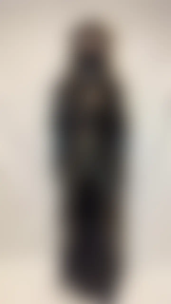 サキュバスコスプレで電マしこしこオナニー💓 sample 1