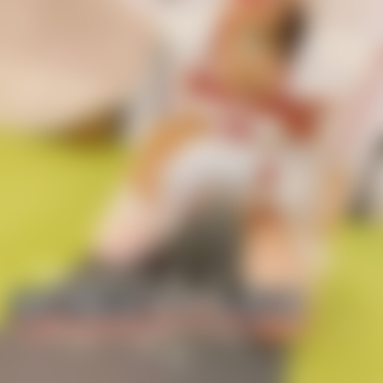 見習い中メイドの女の子。
ご主人様に仕える一人前のメイドになるため
指導教育は行われる。
ご主人様から与えられる苦しみさえも
悦びとしていかねばならない。
膝立ちの状態で上部を○○○され、
両脚も○○○し吊るす。
脚は膝以外が床へ着かぬ様に固定。
これはかなり苦しい姿勢。
ご主人様が望まれたなら叶える仕事。
忘れてはならないメイドの基本条項。
「股間部はバイブ挿入と
ローターを当て貞操帯の装着。
リモコンのコードは貞操帯のベルトに固定。」
「乳首には電気ショックと
振動を与えるニップルクリップを装着。
ニップルクリップから伸びるコードは
リモコン付きの首輪に接続する。」
「各装置はご主人様が作動するまで
勝手に動かすことは出来ない。また、
密かな自慰行為は絶対に許されない。」
¨¨¨¨¨¨¨¨¨¨¨¨¨¨¨¨¨¨¨¨¨¨¨¨¨¨¨¨¨¨¨¨¨¨¨¨¨¨¨¨¨¨¨¨¨¨¨¨¨¨¨
女子 コスプレ 首輪 sm Japanese hentai kinbaku
shibari bondage ○○○束 ○○○ ○○○ ドМ おし置き
縛り M女 ○○○束具 ヒトイヌ 放置 放置プレイ
どえむ マゾ ポニー pony ポニーテール コスプレ
ポニーガール ponygirl 脚 足 足裏 ストッキング
タイツロープアート ropeart ドミナ サブ DS D/S
ドミサブ ドミナント サブミッシブ dominant
Submissive 麻縄 ボンテージ ボンデージ SM
kinnbaku sibari 後ろ姿 後ろ姿美人 女性 女 束缚
猿轡 ギャグボール ○○○ 痴女 OL 女子大生
コスチューム ボンテジ 体操着 ブルマ 脚フェチ
妄想 イメージビデオ セクシー 淫乱 フェチ 羞恥
ハメ撮り ○○○ 電マ バイブ 大人のおもちゃ
Ballgag vibrator tied ローター SM
¨¨¨¨¨¨¨¨¨¨¨¨¨¨¨¨¨¨¨¨¨¨¨¨¨¨¨¨¨¨¨¨¨¨¨¨¨¨¨¨¨¨¨¨¨¨¨¨¨¨¨ (2/2)