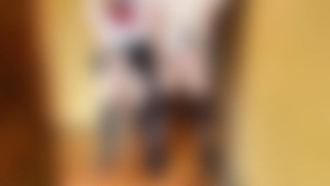 こんなところでしちゃうの…🍈🐼見つかっちゃうよ💦【心緑めろ】【甘雨ラン】
めろ初めてのコラボ作品は…
なんとなんと甘雨ランさんとのコラボだよ!!🍈
ランおねえちゃんと2人で制服で…
家中に潮吹きしてマーキングしちゃった💦
何か懐かしい香りがするお家で
おねえちゃんと制服姿で手を繋いでいちゃいちゃ…
大量潮吹きな作品と
なってしまってるから
ティッシュ1箱じゃ絶対足りないよ💦
【お気に入り登録🌟シコシコ報告💦スタンプ🍈】
たーくさん待ってるね!!
💚再生時間💚
【23:34】
*この作品の出演者は成人済みです。
*この作品はコスプレ作品になります。
ーーーーーーーーー注意事項ーーーーーーーー
※撮影許可をいただいているスタジオでの撮影になります
※ご注文確定後のキャンセル・返品対応はいたしません。
※予告なく商品を変更.削除する可能性がありますので購入後すぐにお使いの端末へ必ずダウンロードをお願いします。
※商品に関するメッセージをいただいても返答しかねますのでご了承ください。
※二次配布・無断転載・その他個人で視聴する目的以外でのご使用はご遠慮ください。 (2/2)