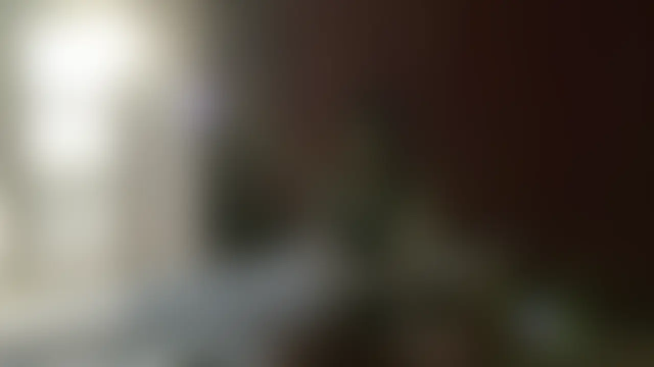 キツネキョンシー (2/2)