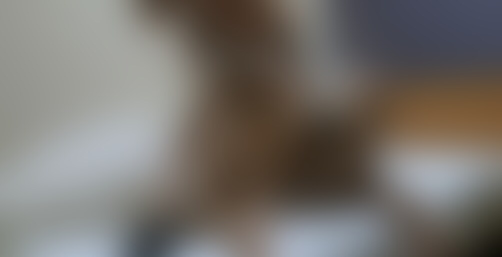 もともと、性癖がドMでM活動をしておりました。変態動画クリエイターです。主にツイッターで活動しているので、よろしければご覧ください。
素人系の子が大好きで、主にナンパ・飲み屋等で一緒になれば
積極的に声をかけるように努めております
「変態動画をクリエイトする!」をモットーにM男向けコンテンツを輩出して参ります!
今回のコンテンツですが
HDC Produce 超ギャル美女ののあ様の超セクシーM男○○○め罵倒手コキ○○○です。
今回は大好評!冷徹ドS系ギャル美女 ののあ様です!
今回は衣装がギャル様仕様で超セクシー!
そして、M男をいつも通り徹底的に○○○します!屈○○○的な格好でM男のあそこをしっかり見て、唾を垂らし、手コキでいたぶりながら焦らすのが最高にたまりません!頭を持ちながらの靴舐め、口 灰皿も収録されております!
美女ギャル様に徹底○○○されたい方はぜひ!
46分間の内容となります!よろしくお願い申し上げます!
お楽しみください。
★素人編集になるため、画質等が少し悪い場合御座います。鋭意、改善して参ります。
★編集技術向上のため、モザイク処理の見直しを行い制作に取り組みましたが、至らぬ点はまだあると思いますが、それでも良いという方でご購入の程、よろしくお願い申し上げます。
★女性○○○以上確認済
★モザイク処理を施しております
★転載や無断使用等はお控えください。 (2/2)