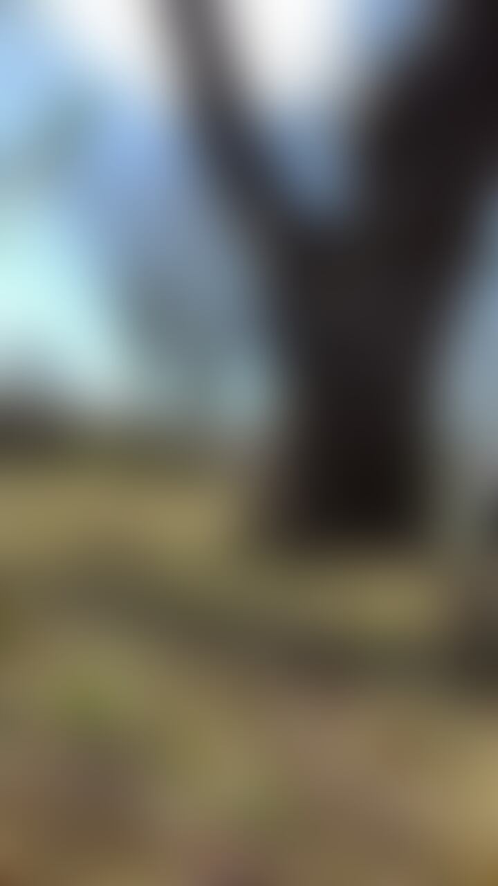 jc3 (2/2)