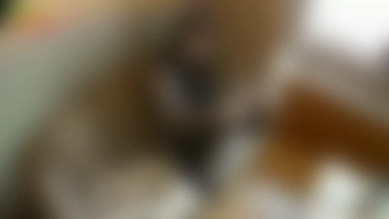 新学期が始まりましたね
こちらの18歳なりたて合法L〇Kちゃんも新学期にむけ皆様の為にその素晴らしい身体をカメラの前に見せつけてくれてます
しかもこの後制服のまま中出し性行為までも
その超エロい中出し性行為動画は会員ページで配信中で~す♪ (2/2)