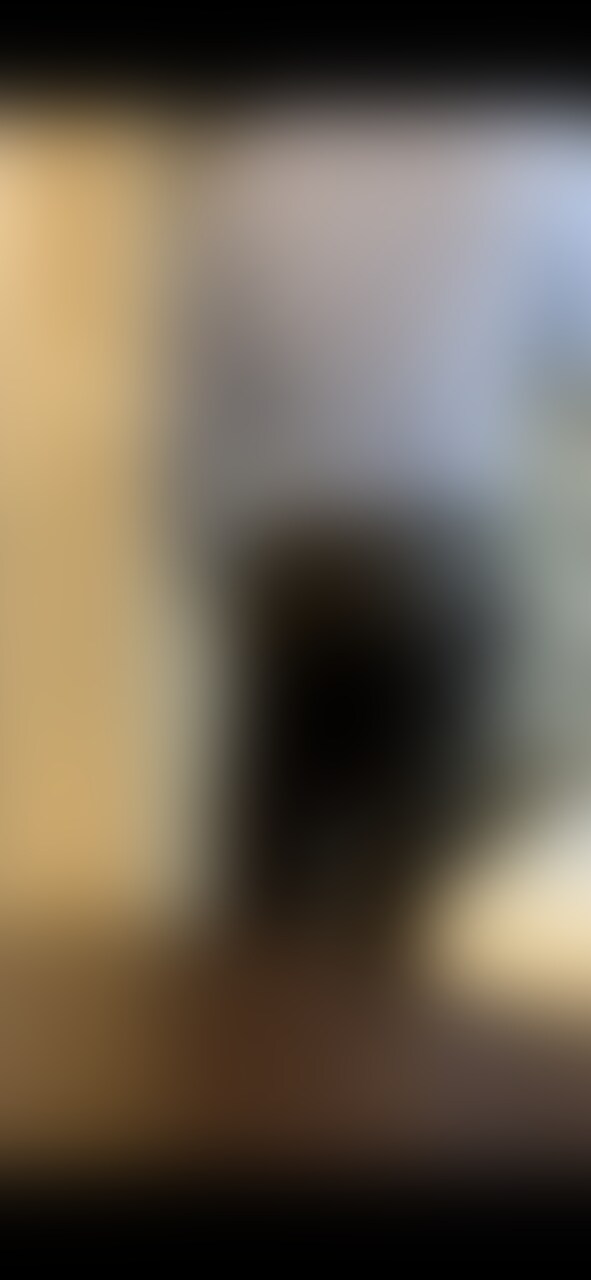 🟦出張先のホテルで sample 1