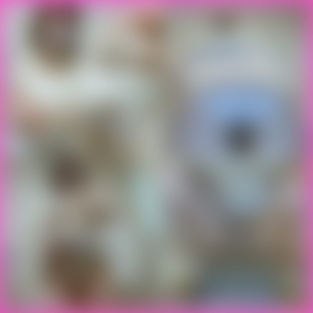 色白Fカップ人妻のむっちり肉感ボディを堪能!!
👇パンツ買取の動画一覧はこちらから👇
https://myfans.jp/opantukaitori/tags/c4685c4d-9ecd-460b-a6bd-f04bfe629f34
旦那には見せた事の無い羞恥のポージングを指示し
おパンツ買取!!!
恥ずかしがりやのママさんからおパンツを買い取りました!
背徳感がやばいです、、
しかも色白で触り心地のおっぱいです♪
#素人#OL #個人撮影 #おっぱい #美女 #痴女 #フェチ #女子大生 #おしり #日本人 #清楚 #セクシー #パンチラ#パイパン #パンツ買取 (2/2)