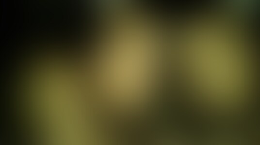 手コキ射精されました【旧】 (2/2)