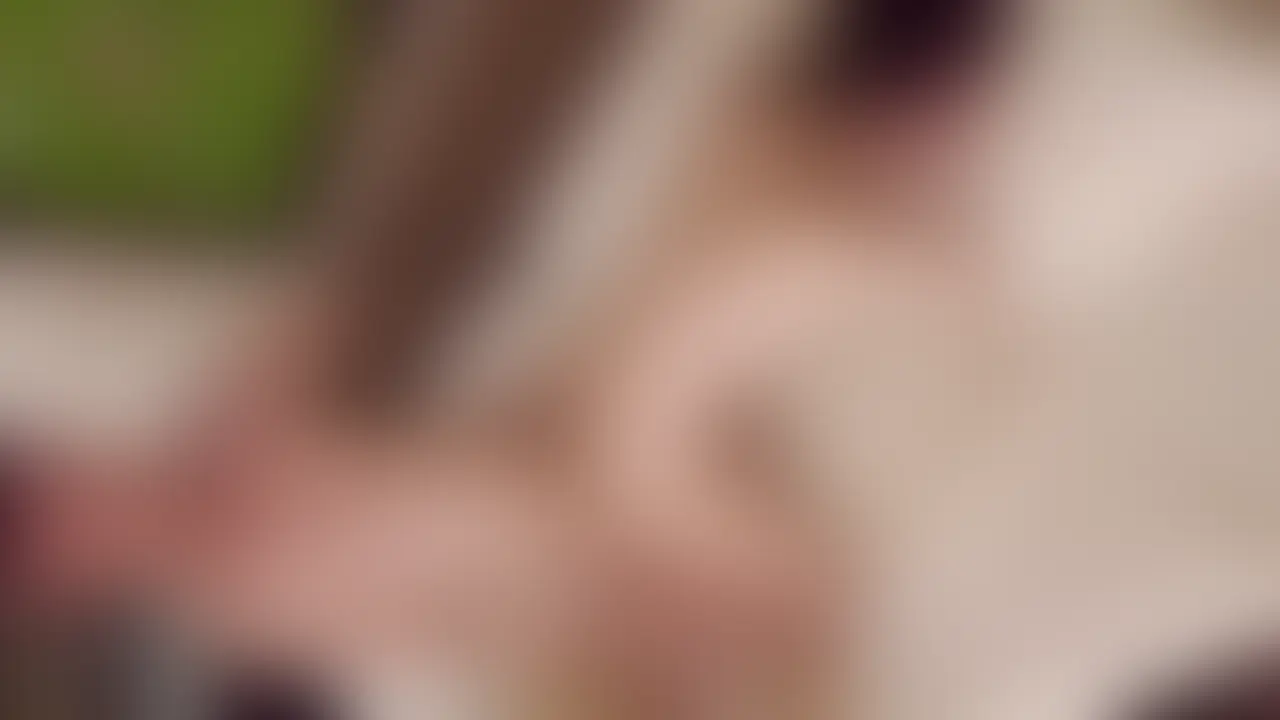 小柄スリム可愛い系大学生とおねだりSEX③ sample 1