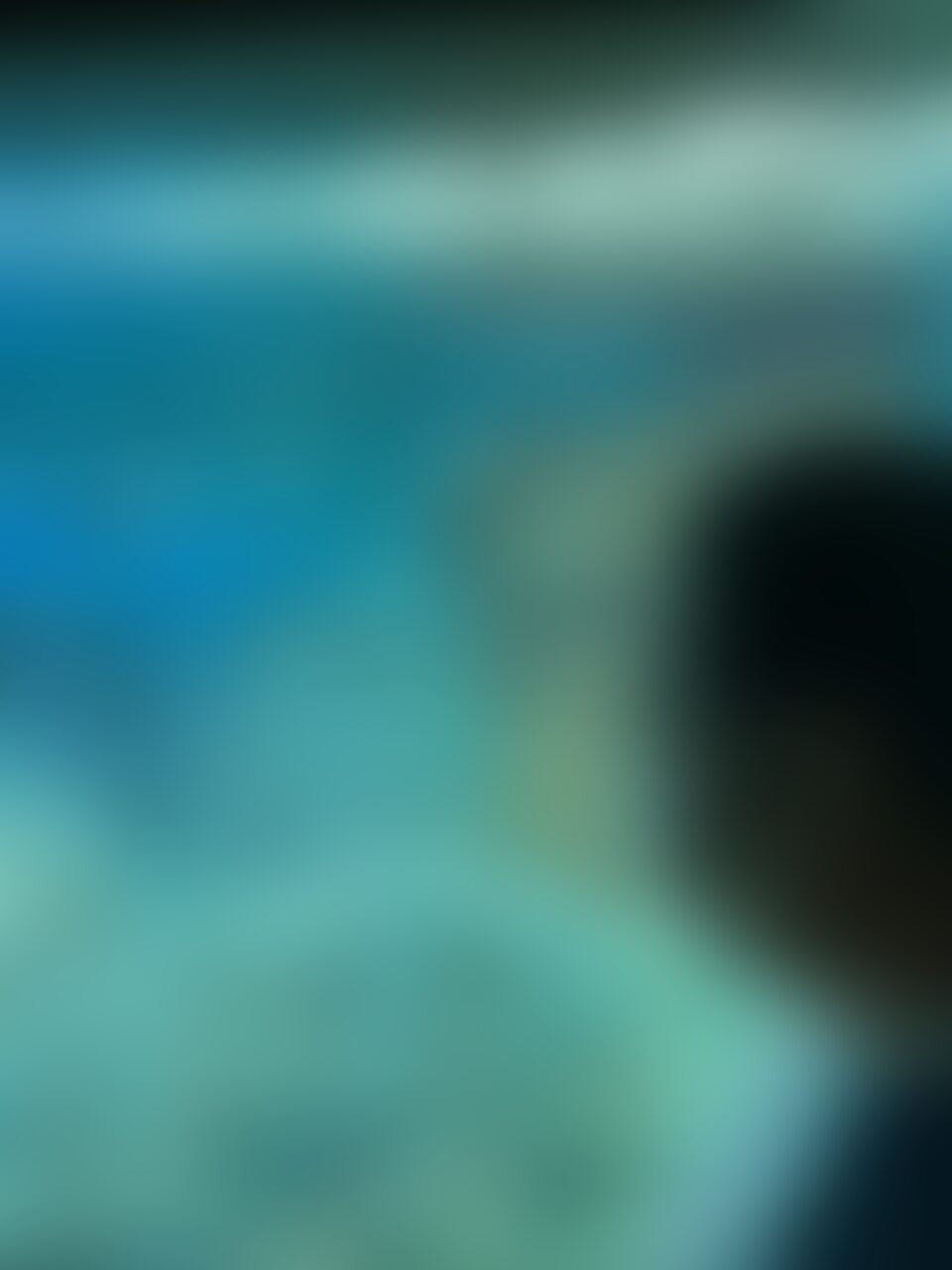 水族館楽しかったです🐟🐠🐡 sample 1