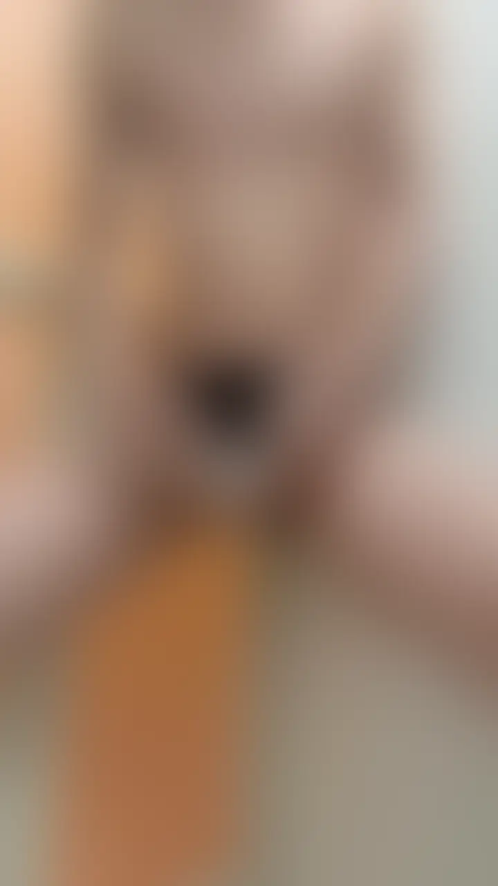 潮ぼたぼた垂れ流す雑魚オスでごめんなさい sample 1