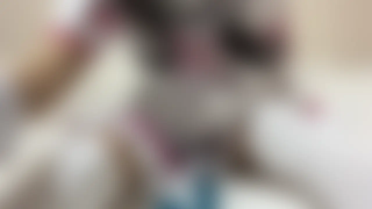 💉skyknのウーマナイザーひとりえっち動画💘

skyknちゃんがウーマナイザー使って
ひとりえっちしてる動画です

乳首いじりしたり
腰へこへこして騎乗位の恰好したり
しまいのはおしりみせつけてひとりえっちしてます (2/2)