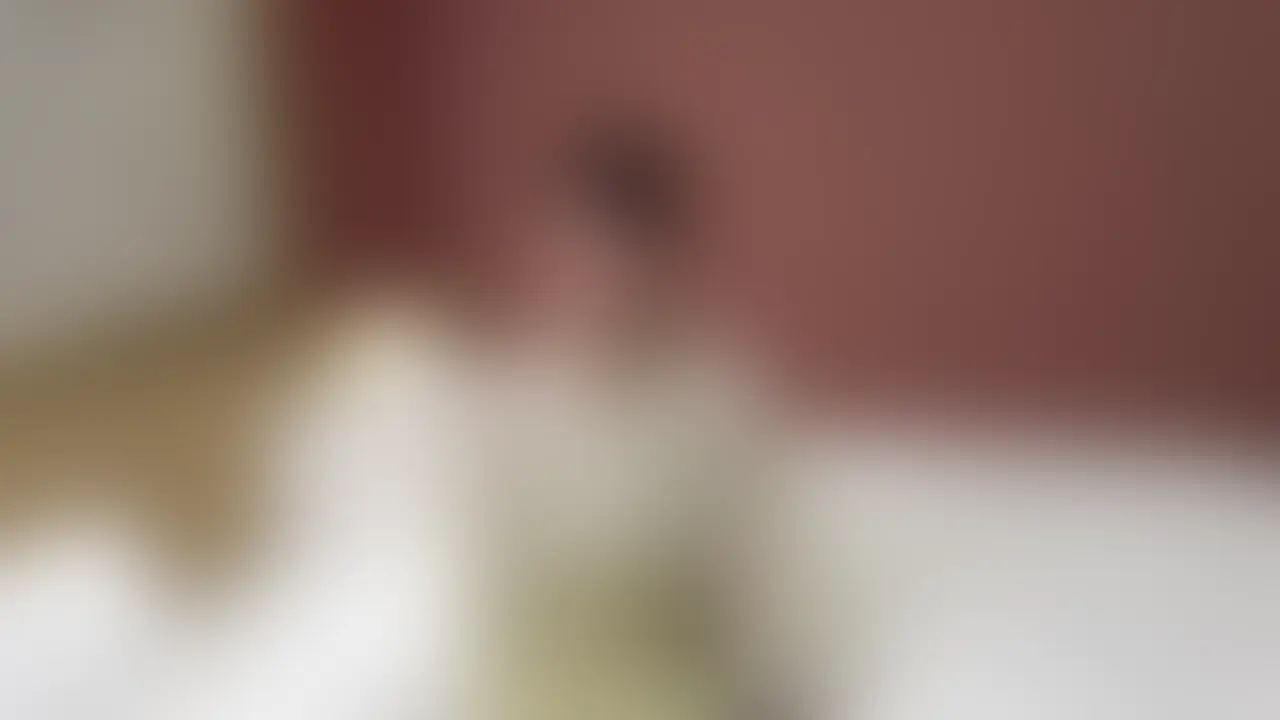 限定特別価格 [PR]【♡いいね】と【保存】を押してから動画をご覧頂くと…🎁✨ https://myfans.jp/posts/4202ff70-64ae-4a95-b523-3356e8bbe3ec 素人ならではのエロさを感じて下さい。 いつでも募集してますのでＤＭ下さい。 ＃素人 ＃ハメ撮り ＃個撮 ＃フェラ ＃騎乗位 ＃美人 #美尻 #高画質457 (2/2)