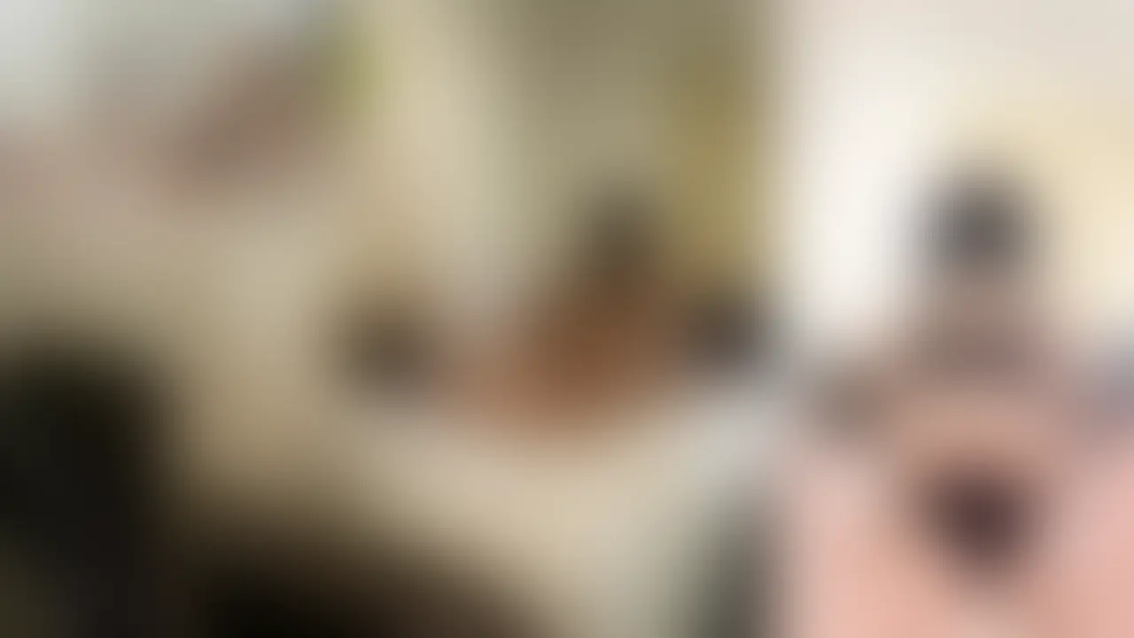 【Kカップけいちゃん早朝パイズリ4発目】
【大迫力3画面同時再生】けいちゃん早朝パイズリ4発目
けいちゃんが早朝からホテル宿泊者に朝勃ちパイズリ!
大迫力の3画面同時再生をお楽しみください!!
▼この前日に行われた撮影はこちら
https://myfans.jp/posts/2df9a436-49c5-491d-9747-b26bbdb30d01 (2/2)