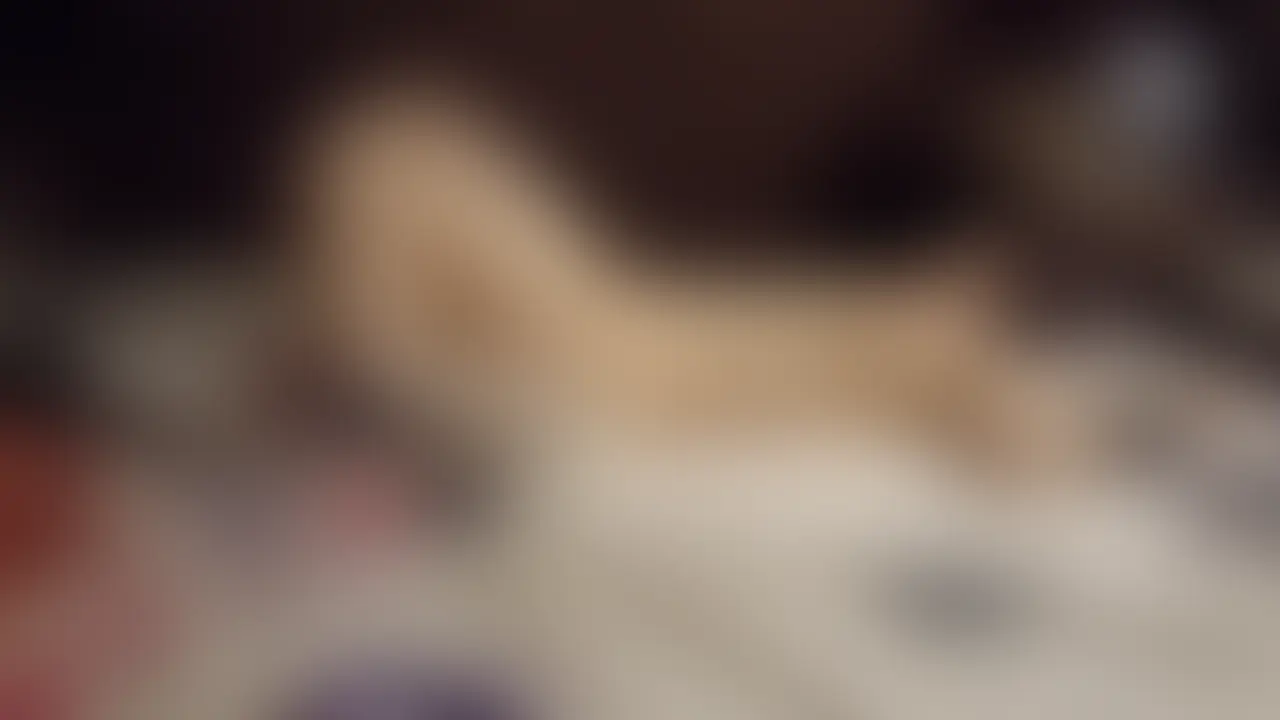 三重から泊りがけ。before,afterダブルデートっでエッチも初めて尽くしの恥ずかしがり屋さん6-10
吸うやつ、舌バイブ、今日初のクリバイブW攻め。やった途端声一気に変わります。こんな舌の動きも奥までもチンポじゃできないよね?脚クロスって中にしっかり振動。ピンと伸ばしたらより一層…
中最強のバイブはお腹もグイグイ押しながら。クリももちろんクリのおもちゃで同時攻め。ダメ出ちゃう?今日ここで泊まるのに笑
出たら大変だから我慢してよ?朝寝起きでの正常位。前後、上下、いろんな突きです。バックはしたことないんですか。でもスッポリ簡単に入ったよ?
ピストンするバイブ付き吸うやつ。僕の選抜隊2つよりもいい反応です。まさかの一軍と二軍の入れ替え?ってくらいいいです。pistonで中から押されてそのクリを吸うやつがキャッチめっちゃピクピク震えてきました。イッたら終わるん?僕が離してても一人で喘いで動いてます。出ちゃうって?
顔を両手で包み込んでずっと見下ろしながら犯してます。上から杭打ちピストンで手を顎から離すと隠しちゃいます。朝だからちょっと声カスれて小さいです。バックはおっぱいプルンプルン揺れてエロい。寝バックで上下サンド。さらに腰押しながらだと…
もう互いに果てようということでベッド際でしっかり奥まで入れて犯してます。キスもたっぷり。もうこっちも果てる目的なのでストローク長く激しく。そして果てちゃいました。 (2/2)