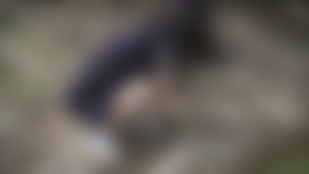 誰もいない山奥、我慢できず野外放尿。手をガムテープで固定された彼女は股を開く。 (2/2)