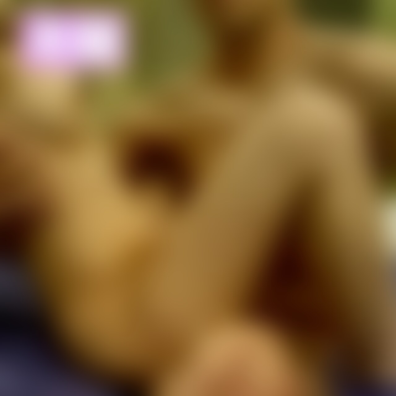 清楚な女子大生とエッチしてきた🥰 sample 1