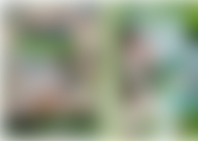 【アナル丸見え版】(たっぷり1時間28分♥️)ナヒーダちゃん中出し完全版 ちっちゃなからだに種付けせっくす🌱
こんにちは🍓りかです
今日も1日お疲れさまでした(⑅꜆˘̤ ᵕ˘̤)꜆🍵
お帰りなさい♥️
りかの投稿見に来てくださってありがとうございます✨
ナヒーダちゃん中出しの完全版です
【内容】
お外撮り→
電マ→ふぇら→正常位(固定→主観→事後トローリなめまわし)→
立ちバック(固定→主観→事後トローリなめまわし)→
特典映像(歌って踊ってみた→でぃるどフェラ)
よろしくお願いします(♡ᴗ͈ˬᴗ͈)ペコリ。:.゚ஐ⋆* (2/2)