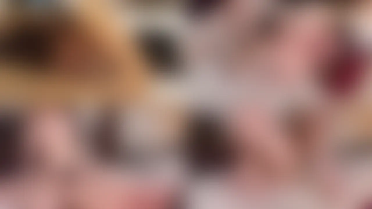 美乳EカップのドMな女の子が壊されにきてくれました② (2/2)