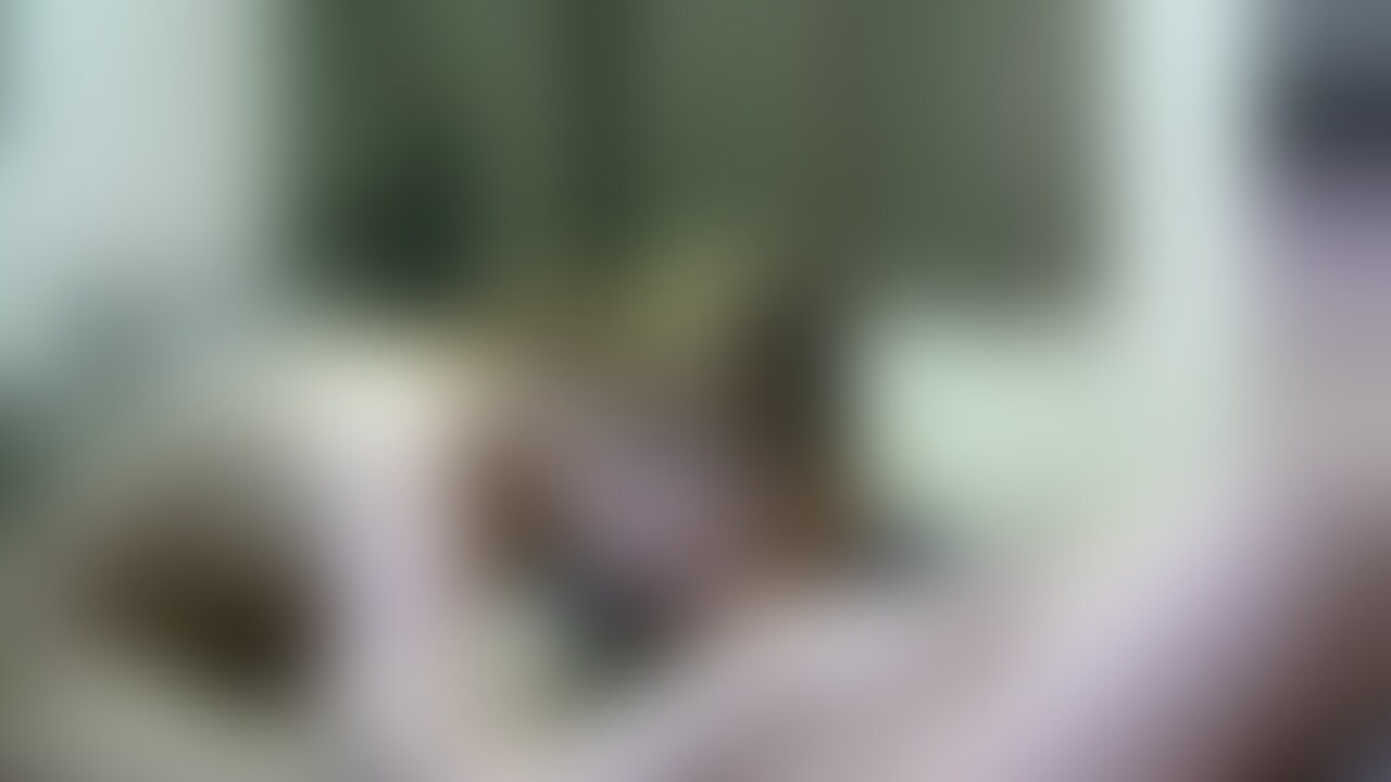 19歳美形JDのねっとりフェラで大量口内発射(脱衣有り)
素人JDちゃんの、ねっとりフェラで超大量口内発射です!
美乳、スリムな素人JDちゃんです! (2/2)
