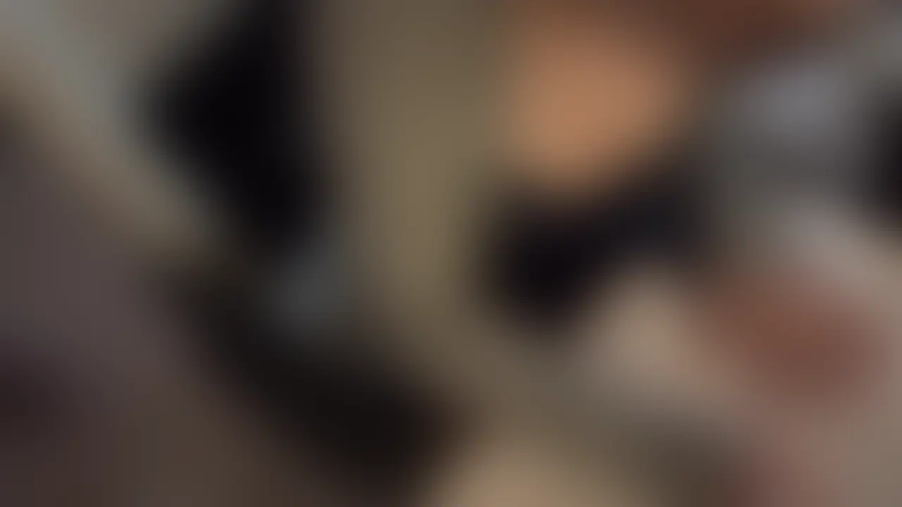 就活対策中にシちゃいました動画の別アングルverです💕

就活対策いっぱい頑張って机に向かってたんだけど・・・
頭パンクしちゃうくらい頑張るとムラムラしちゃって発散しないと手につかなくなっちゃう💦

そんな様子を動画にしたのでみんな見てください💓
画面の前で一緒に発散してくれたら嬉しいです/// (2/2)