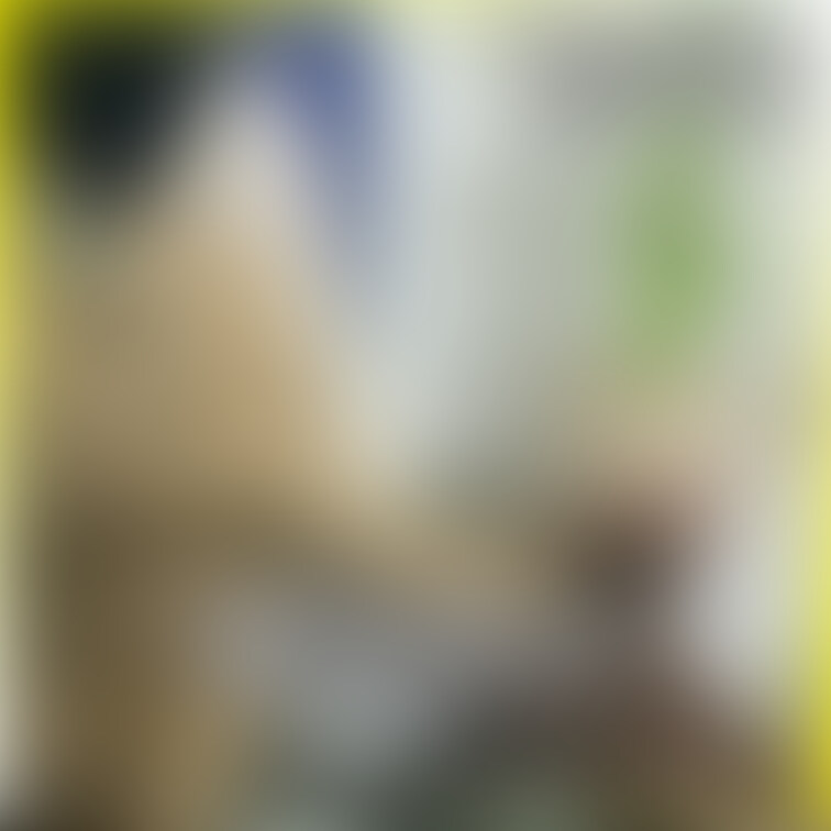 No９８２　亀頭責め　○○○　○○○束　目隠し　○○○　SM sample 1
