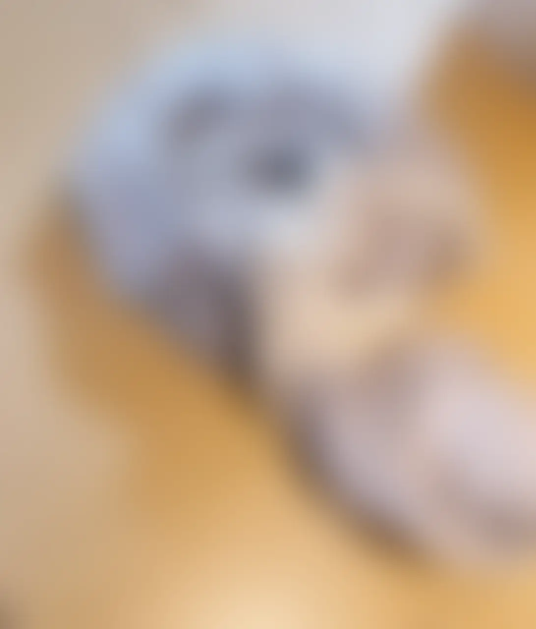 ゆぴ、なんでもやっちゃうひと「内定を勝ち取った下着です 汚いですが運がいい下着です😇 汚いですが運がいい下着です😇」の投稿サムネイル