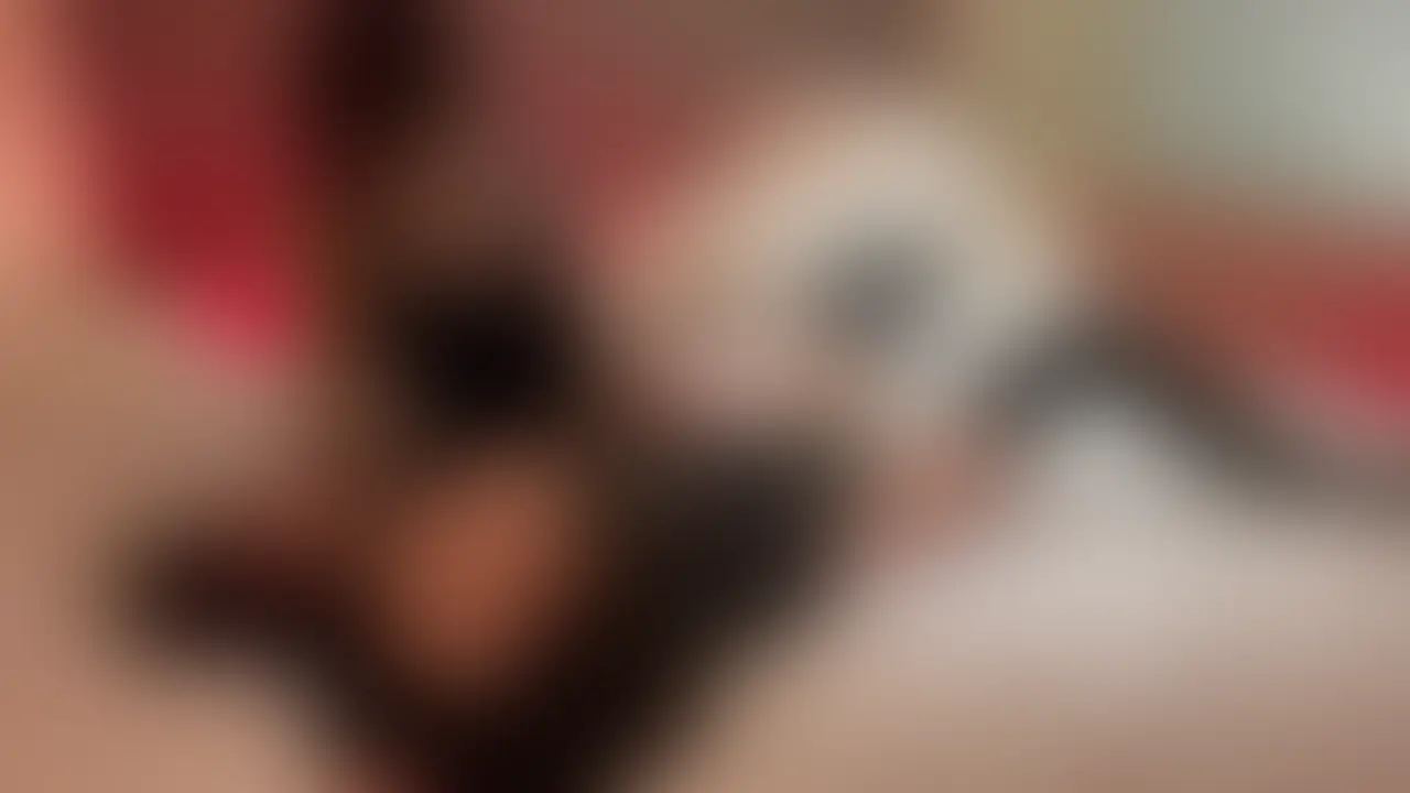【年上保育士お姉さん②🐈⬛】
追い討ち⁉️〇門乳首責め❣️
前回の続きです!玩具で乳首ボロボロにされたあと、そのままチクビ壊れてないかの確認っていう名目で更に追い打ちかけてもらっちゃった🥺🥺
絶対にもっと壊すのが目的なのに、別の名目で誤魔化されながら、嫐られるのえろすぎだよ😔😔😔 (2/2)