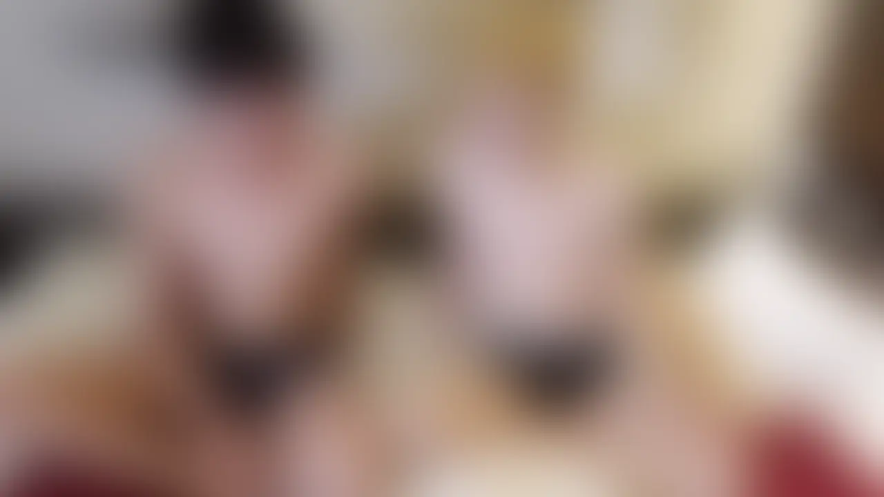 【超有名元アイドル電撃デビュー‼️】【本編完全顔出し】 sample 1