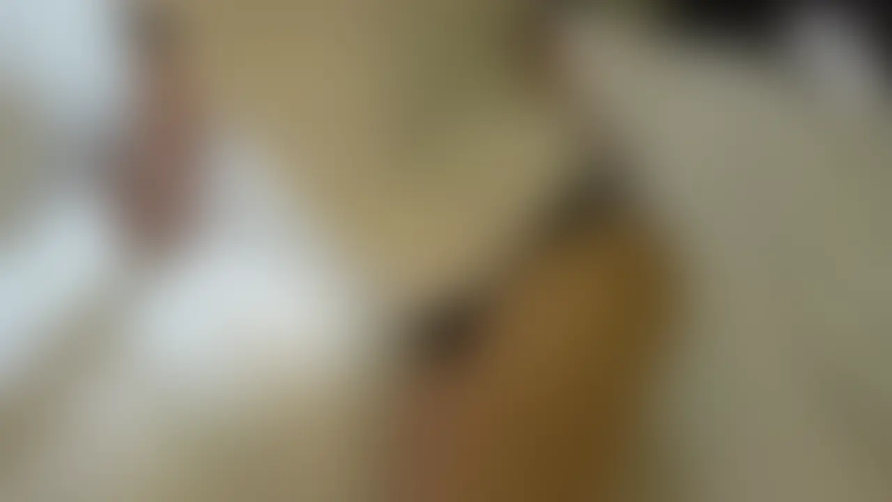 パイズリタイムアタックの後、ヒマリちゃんがベッドに寝転がってるのを見てたらムラムラしてきたので、おかわり馬乗りパイズリしちゃいましたww二回目はあまり協力的じゃなかったので勝手におっぱいをオナホのように使わせてもらってます(逆にこっちの方が興奮するまである笑) (2/2)