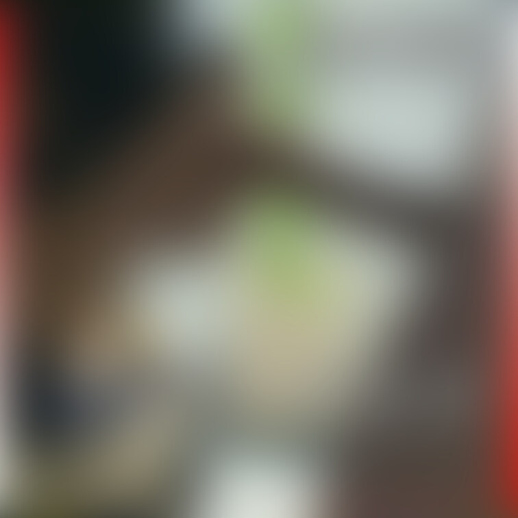 No１０３１　○○○　SM　目隠し　○○○束　フェラ　イラマ sample 1