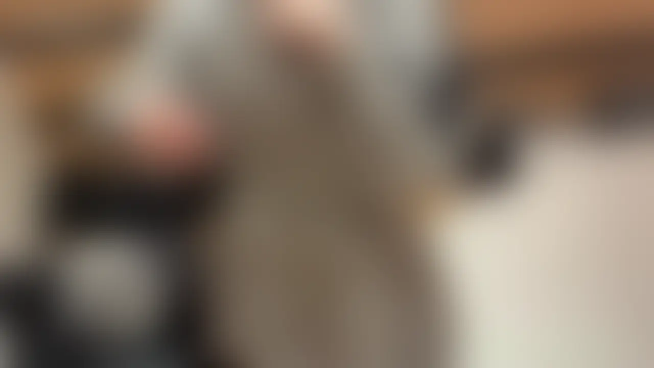 元アイドル候補生フル
アイドル級の美**としたのは初めてですが、私がするからには当然無避妊中出しです。
かなりドライな性格で、サービス精神も媚びもありませんが、そんな今時女子に容赦なく種付けする最初の男となる事実には興奮しました。
可愛らしいお顔同様、おまたも美麗そのもの。じっくり撫でまわし、舐めまわします。
フェラをお願いしますが、明らかに慣れてないのに注目です。
そしてなんといっても挿入がきつい。オマンコが狭すぎます。くわえて久しぶりのセックスという事で合体には一苦労。
入ってしまえば、突くも突かぬも好き放題できる状況に征服感がこみあげます。
射精の間も大人しくしていられない我儘な女の子です。
下着に垂れないよう、かきだしてほしいと頼むのはちょっとかわいい。
「年相応」の言動が随所にみられ、新鮮でした。 (2/2)