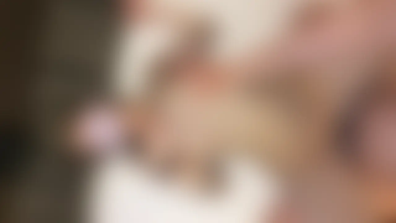 高画質”東京激えちプラン”にて配信中💕
過去配信バックナンバープランもオススメです!ぜひ入会してね❣️
■動画《15:39》
まなさんのおまんこフィット最高です❣️
奥まで突くとオホ声で反応もエロい♡
バック更に激しく、、まなさんもアヘアヘでした🤤
騎乗位で網からはみ出る乳首がピンピン👀👀
最後は正常位でおもいっきりピストンして大量フィニッシュ💦💦
大満足の内容間違いなしとなっております📽️
🏴☠個撮王に俺はあなる*🏴☠
《東えちからのお願い》
日頃からたくさんのご視聴、誠にありがとうございます🙇♂️
大変お恥ずかしい話ではございますが、現在イイね💕不足でございます🫥
今後の配信継続のモチベに関わる重大な問題でございます💔
何卒、イイね💕を押してくださいますようお願い申し上げます🙏
出演モデルに関しては、一切情報を公開しません。身バレ防止も兼ねて対応させて頂いております。
無断使用・転載は一切禁止しております。
法的処置を取らせて頂きますので、絶対におやめください。 (2/2)